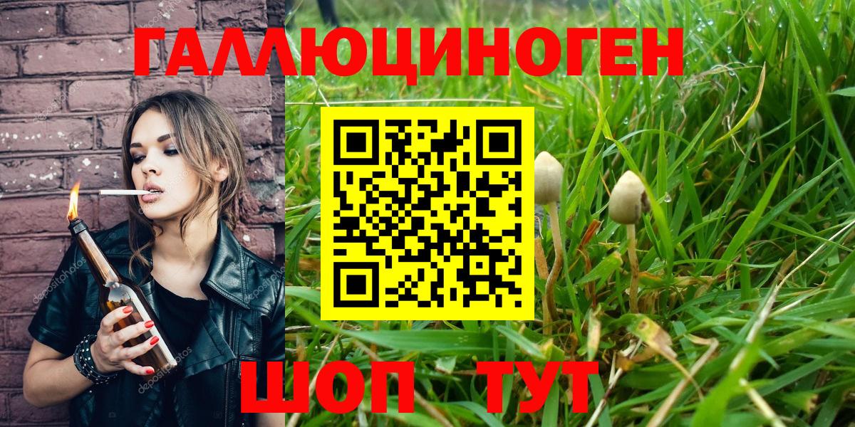 Псилоцибиновые грибы мицелий  Вход с VPN  Галлюциногенные грибы прущие грибы  Рассказово 
